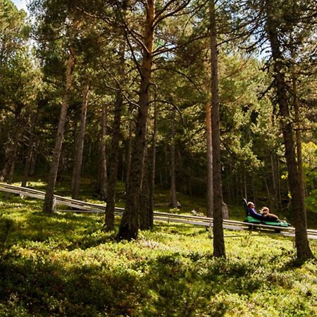 Apartamento Ribasol Vallnord En Arinsal Tintin Екстериор снимка